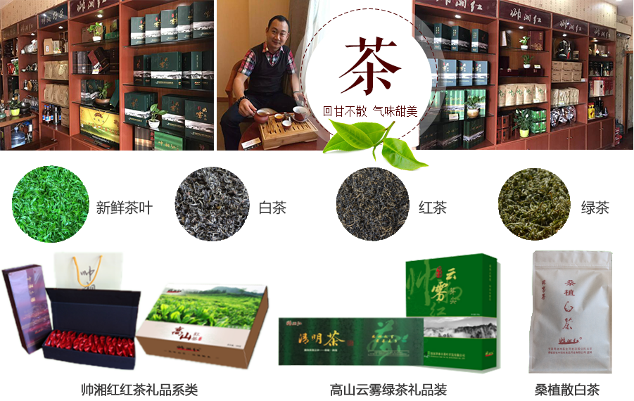 張家界林豐茶葉開發有限公司,張家(jiā)界茶葉開(kāi)發,茶葉種植,桑植白茶加工,帥湘紅銷售