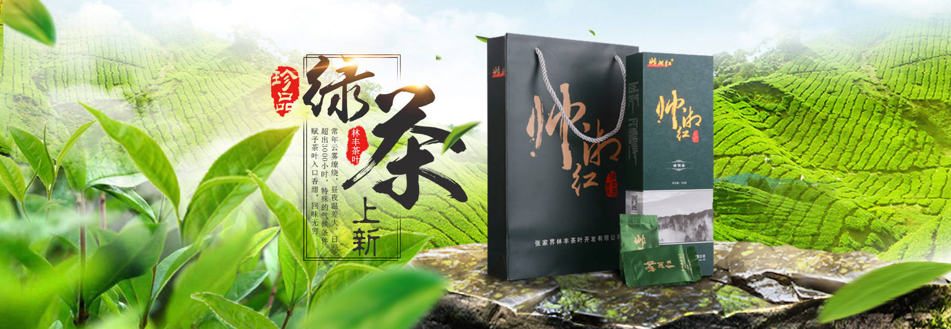 張家界林豐茶葉開發有限公司_張家(jiā)界茶葉開(kāi)發|茶葉種植|桑植白茶加工|帥湘紅銷售