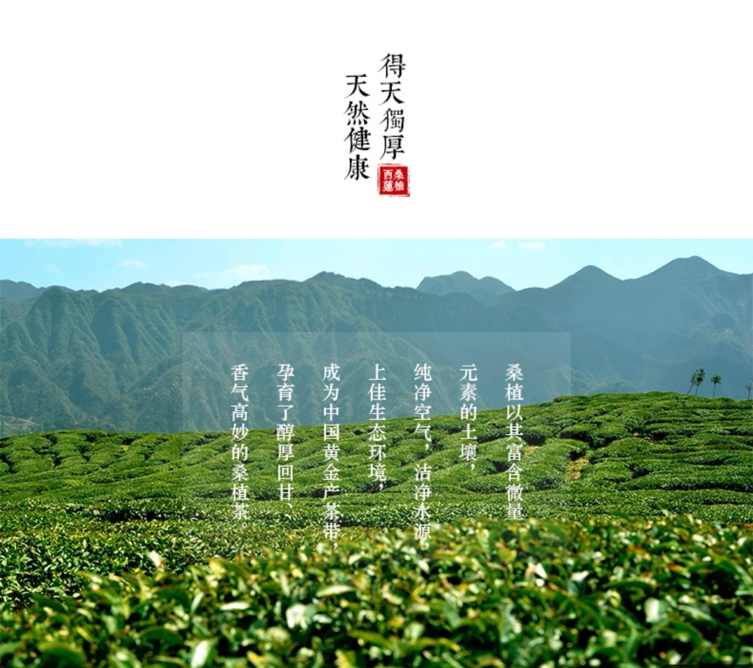 張家界林豐茶葉開發有限公司,張家(jiā)界茶葉開(kāi)發,茶葉種植,桑植白茶加工,帥湘紅銷售