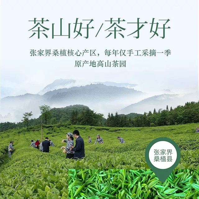 張家界林豐茶葉開發有限公司,張家(jiā)界茶葉開(kāi)發,茶葉種植,桑植白茶加工,帥湘紅銷售