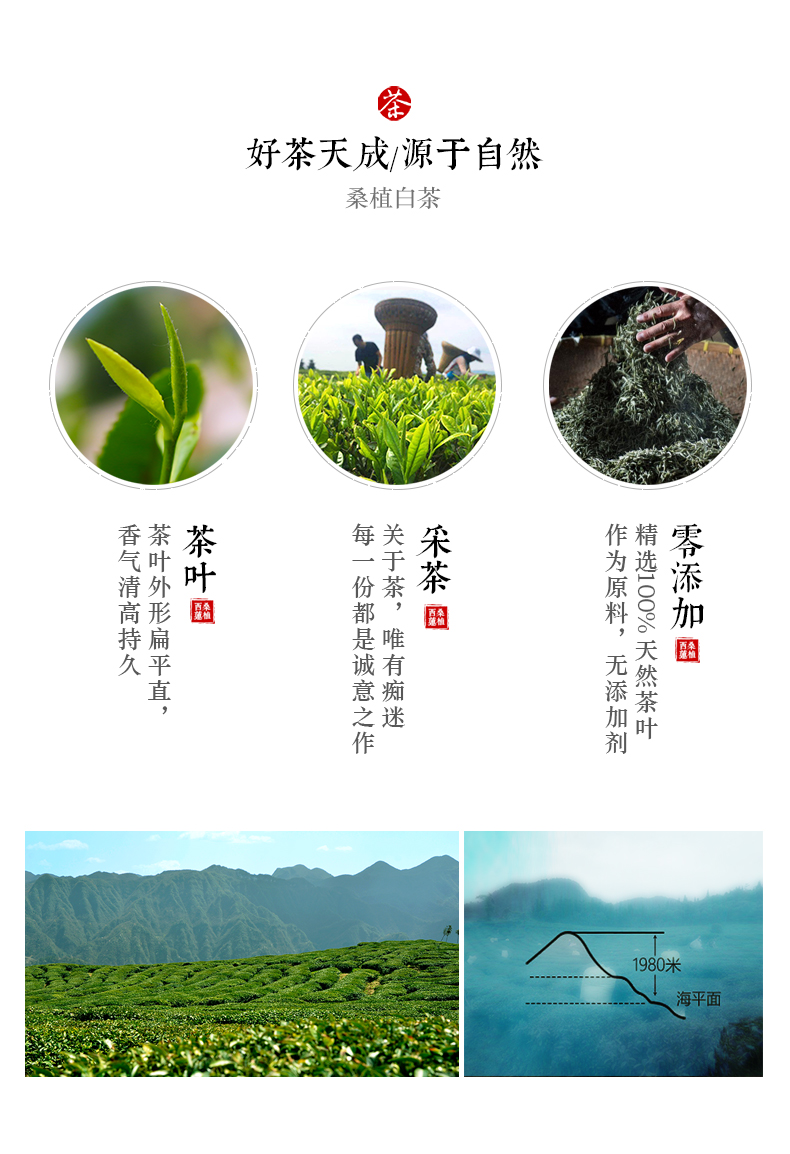 張家界林豐茶葉開發有限公司,張家(jiā)界茶葉開(kāi)發,茶葉種植,桑植白茶加工,帥湘紅銷售