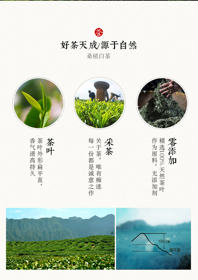 張家界林豐茶葉開發有限公司,張家(jiā)界茶葉開(kāi)發,茶葉種植,桑植白茶加工,帥湘紅銷售